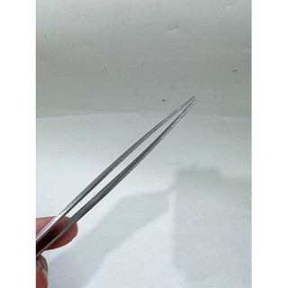Nhíp Inox Gắp Thức Ăn Cho Cá Dài 15cm Không Rỉ