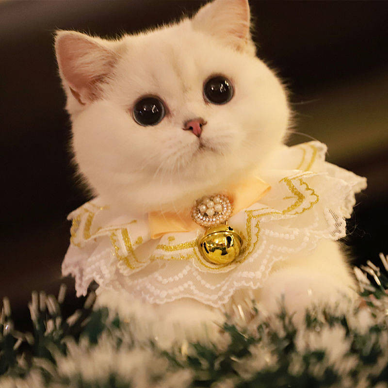 【Ready Stock】 Pet Cat Dog Rabbit Lace Collar Saliva Towel Photo Accessories New New Year Christmas Scarf Bib xzmU