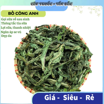 Lá cây bồ công anh lợi sữa Trà Bồ công anh lùn chống tắc tia sữa xanh thơm sạch không vụn BCA