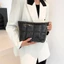 Túi Puffer DARON, Túi trang điểm có đệm bằng da PU đầy bông, Túi sắp xếp dung tích lớn Màu trơn phong cách Hàn Quốc Túi ly hợp kẻ sọc dày hoạt động