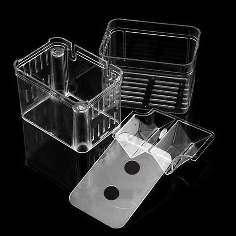 Lồng Đẻ, Lồng Dưỡng Cho Cá Bằng Mica
