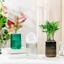 Chậu hoa PWSEND, Chậu cây thủy canh bằng nhựa tự tưới, Chậu trồng cây mọng nước Mini có thể tháo rời sáng tạo