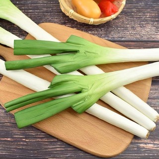 Mô Phỏng Rau Pu Xanh Hành Tỏi Trắng Mô Hình Nhà Bếp Mẫu Phòng Đồ Trang Trí Giáo Dục Sớm Nhảy Múa Đạo Cụ Chụp Ảnh