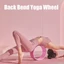 Bánh xe tập Yoga AWNGD, Con lăn tập lưng đa chức năng tập luyện lưng, Công cụ tập Massage cơ bắp Huấn luyện eo Vòng tròn tập thể dục Phòng tập thể dục tại nhà
