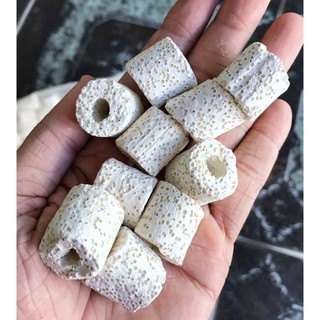 10 VIÊN SỨ LỌC VIÊN VẬT LIỆU LỌC HỒ CÁ NON BỘ