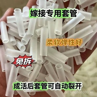 Rau Quả Cây Trái Cây Chuyên Dụng Ghép Tay Cà Chua Cây Giống Dưa Hấu Ghép Ống Silicon Nhánh Hoa Ghép Ống IUZM