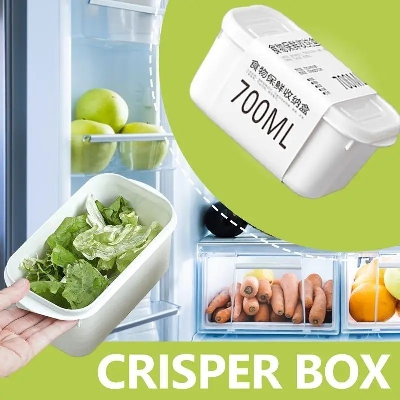 Tủ lạnh bằng nhựa 3 kích thước Hộp giữ tươi có nắp / Hộp đựng kín thịt đông lạnh