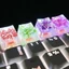 Btsg Nhựa Bàn Phím Cơ Keycap Lá Hoa Khô Mờ Keycap