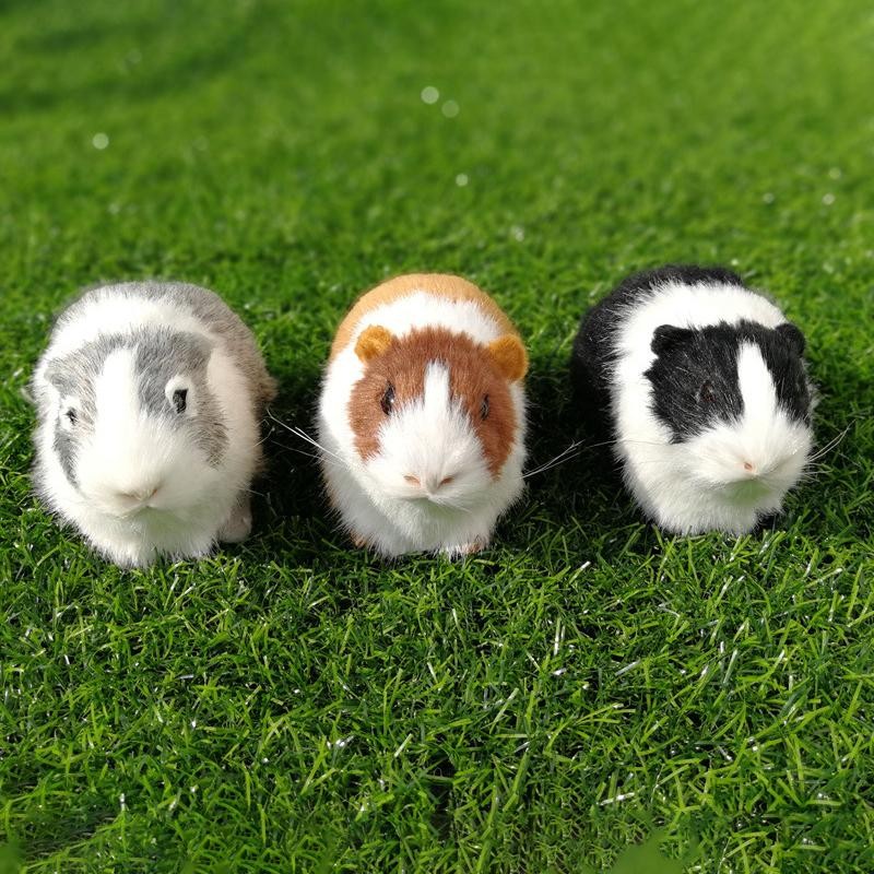 Tmoy Búp Bê Hamster Nhồi Bông Sang Trọng, Mô Phỏng Lông Chuột Lang, Quà Tặng Sinh Nhật Cho Bé