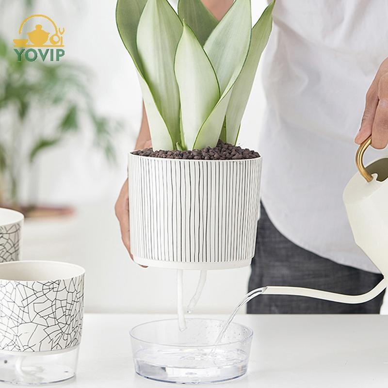 YOVIP Chậu cây tự tưới nước trong suốt có hộp đựng nước Chậu hoa Cây xanh er cho sân vườn Trang trí cây cảnh VN