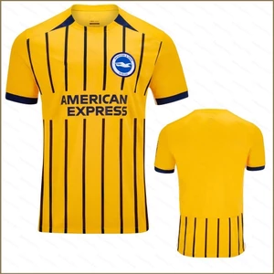 2024-2025 Premier League Brighton Hove Albion Câu lạc bộ bóng đá sân khách Áo thun Fan Size Plus