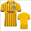 2024-2025 Premier League Brighton Hove Albion Câu lạc bộ bóng đá sân khách Áo thun Fan Size Plus