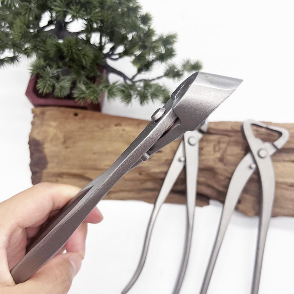 Máy cắt cảnh vườn PWSEND, Kéo cắt cành 210mm Kéo cây cảnh, Cắt tỉa cành hoa bằng thép Carbon Đa chức năng Kéo viền lõm làm vườn Dụng cụ trồng cây cảnh vườn