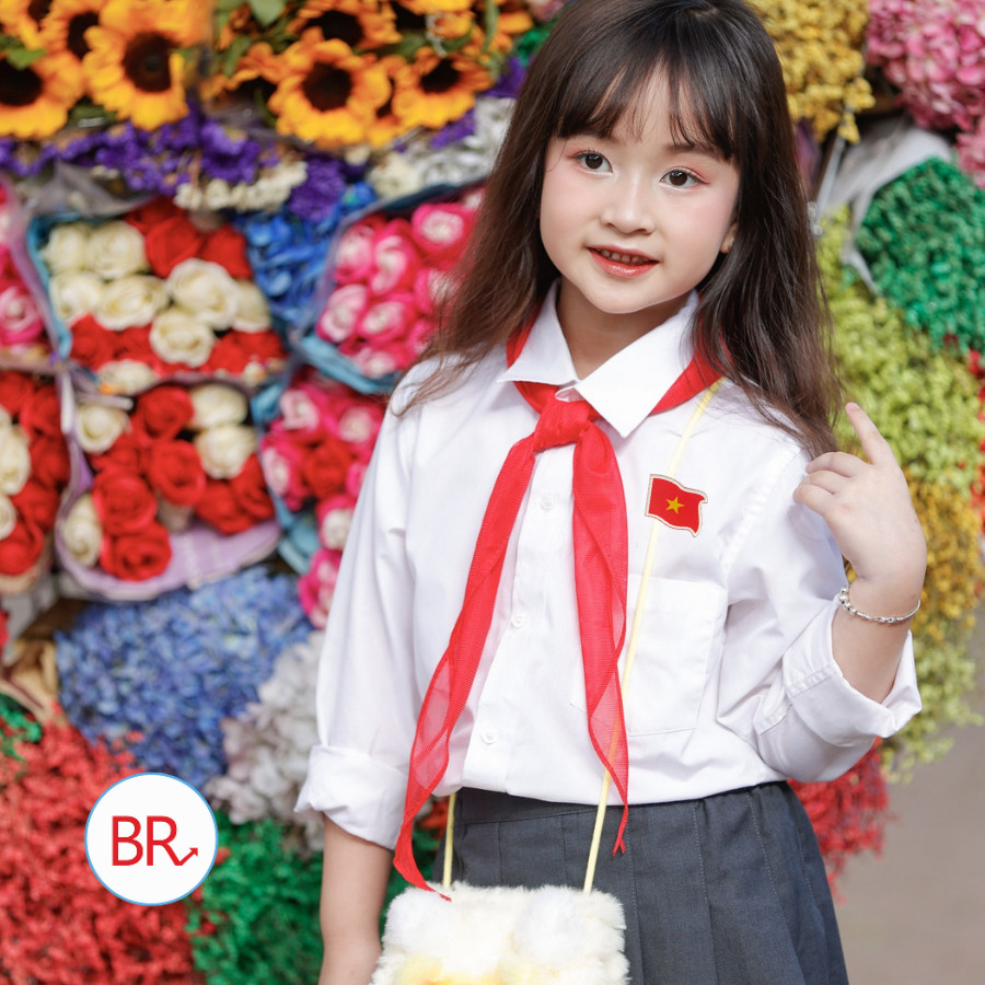 Pin cài áo lá cờ Việt Nam- Cài áo học sinh, mũ, balo cờ đỏ sao vàng, quà lưu niệm yêu nước Việt Nam ngày 2/9