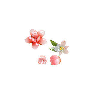 Mô Phỏng Hoa Đào Narcissus Nhựa Hoa Lá Xanh Chịu Nhiệt Phim DIY Handmade Trang Sức Bông Tai Kẹp Tóc Phụ Kiện Chất Liệu