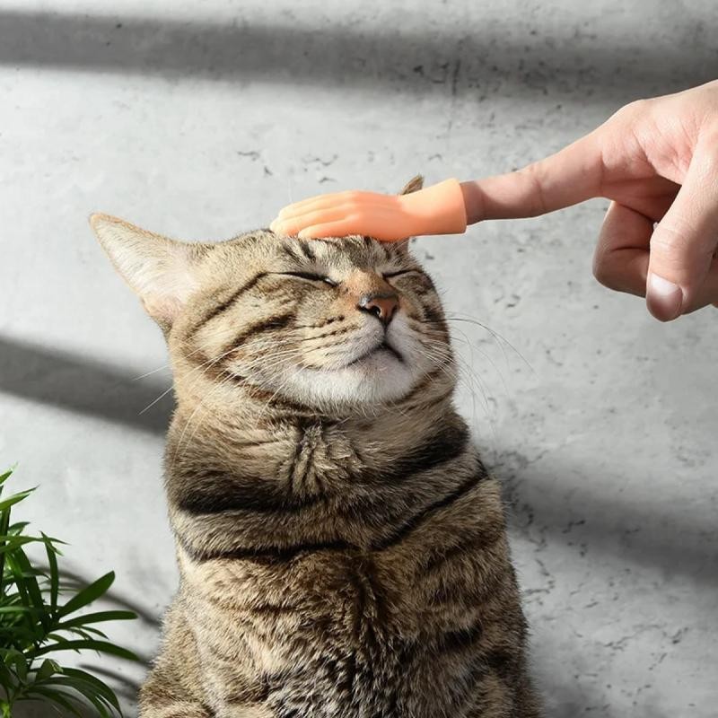 Nắp Ngón Tay Nhỏ Tiktok Năm Ngón Tay Mở Lòng Bàn Tay Mini Ngón Tay Nhỏ Trêu chọc Mèo Đồ Chơi Nhỏ Sáng Tạo Ngộ nghĩnh