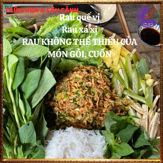 Chậu rau quế vị thơm ngon vừa là thảo dược quý tự nhà trồng vẫn hơn ⏰ Hoa Mười Giờ Bonsai & Phụ Kiện