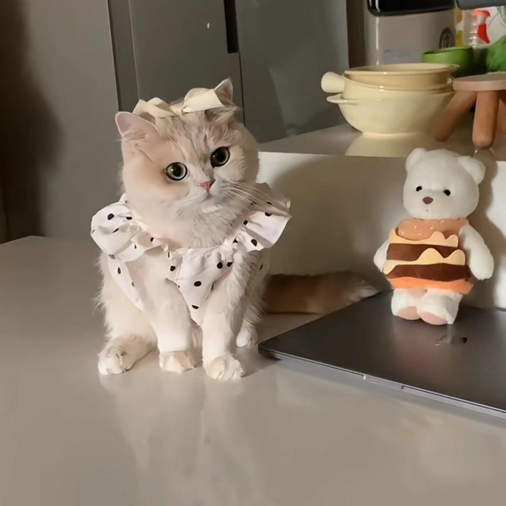 Quần áo cho chó mèo Váy một mảnh mùa hè