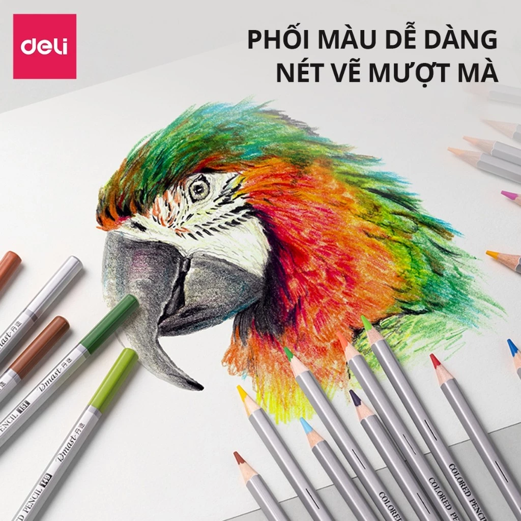 Màu Chì Gốc Dầu Cao Cấp Dmast Deli Bút Chì Màu Hộp Giấy 36/48/72 Màu Lõi Chì Dày Vẽ Tranh Tô Màu Chu