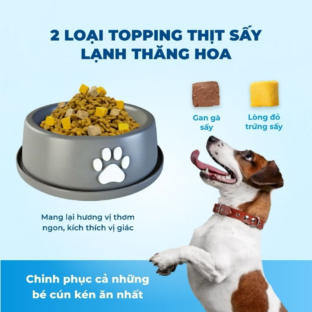 Hạt MRVET D1 Topping Công Thức Chuyên Biệt Cho Chó Thông Minh