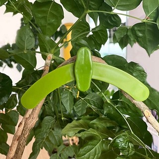 Bộ 5 Dụng Cụ Uốn Nắn Cành Cây Cảnh, Điều Chỉnh Tự Do, Kẹp Uốn Cây Bonsai Tiện Lợi, Bền Đẹp
