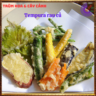 Chậu rau tần dày lá nấu canh chua, thần dược trị ho, giảm viêm họng 🕰Yêu Nhà Yêu Hoa