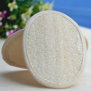 Sữa tắm và bông tắm xơ mướp thiên nhiên giúp massage da ALINE