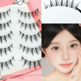 5 Cặp Lông Mi Giả Giả Lâu Dài Nở Tóc Wispy Một Mảnh Mi Cho Nữ Và Bé Gái Trang Điểm DIY