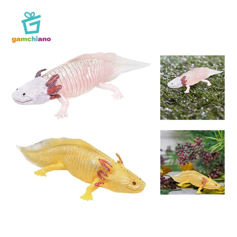Gamchiano Salamander Nhân Vật Hành Động Đồ Chơi Hình Động Vật Mô Hình Bánh Topper Tiếp Liệu Đồ Chơi Giáo Dục Mô Phỏng Salamander Đồ Chơi Cho Tuổi 3 +
