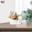 Chậu hoa mèo hoạt hình Bình hoa thủ công bằng nhựa cho phòng ngủ Sân vườn