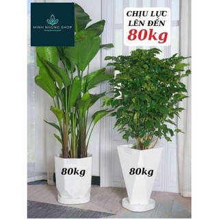 Kệ đế chậu cây di động có bánh xe và khay hứng nước thừa tiện lợi.