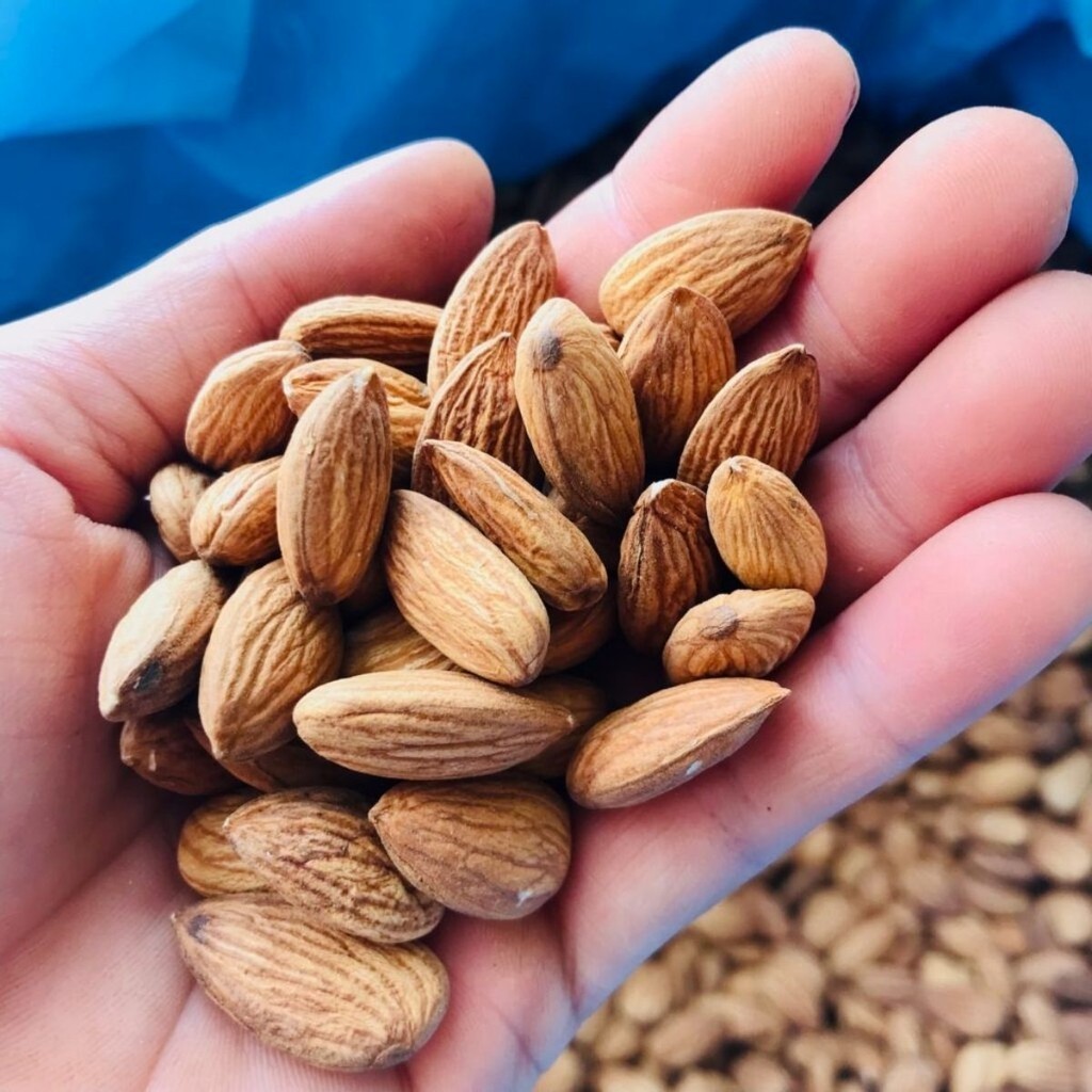Hạnh Nhân Lõi Sấy [Không Vỏ] Hạt Vụ Mới Thơm Ngon Không Hôi Giầu - Xưởng Hạt Dinh Dưỡng Bảo Tâm