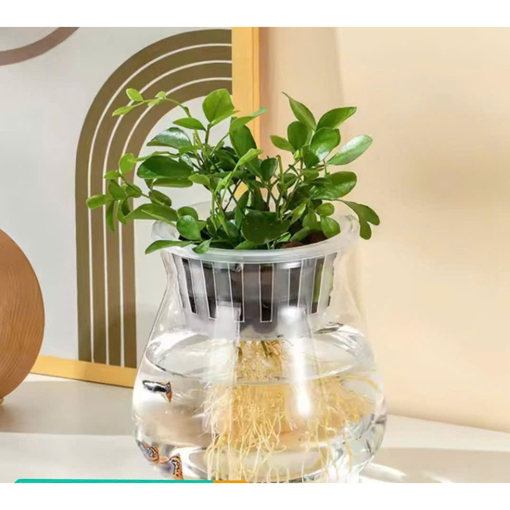Rổ Nhựa Trồng Cây Thủy Sinh, Thủy Canh Cho Chậu Tròn (13x9cm)
