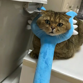 Đồ chơi cho chó mèo, Tương tác vui nhộn sang trọng tấn công Stick Catcher, Cat Teaser, Đồ chơi cho mèo Chiikawa, Cây đũa phép mèo sang trọng