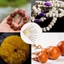 Mũi khoan xoắn siêu nhỏ YOLOGO, Mũi khoan nhỏ đa chức năng HSS, Dụng cụ khoan chân 2,35