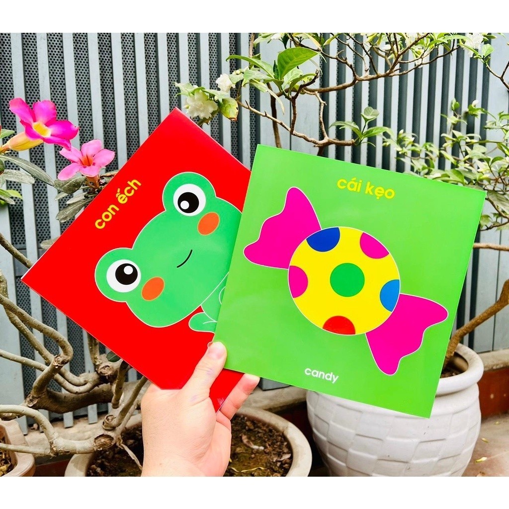 Ảnh Flash Card Kích Thích Thị Giác - Zic Zắc (4 Tấm) 3