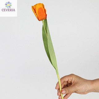 Cành hoa tulip ướt trang trí nhà cửa thân hựa, lá từ lụa CEVERIA