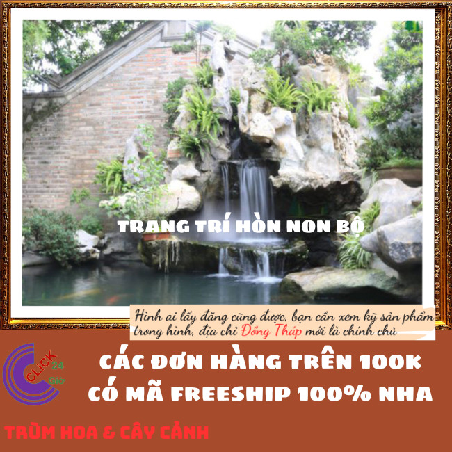 CHẬU DƯƠNG XỈ LÁ ME TRANG TRÍ ĐA NĂNG THÍCH HỢP MỌI NƠI⏰ TRÙM HOA VÀ CÂY CẢNH