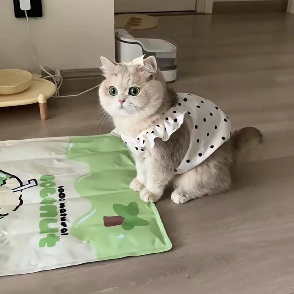 Quần áo cho chó mèo Váy một mảnh mùa hè
