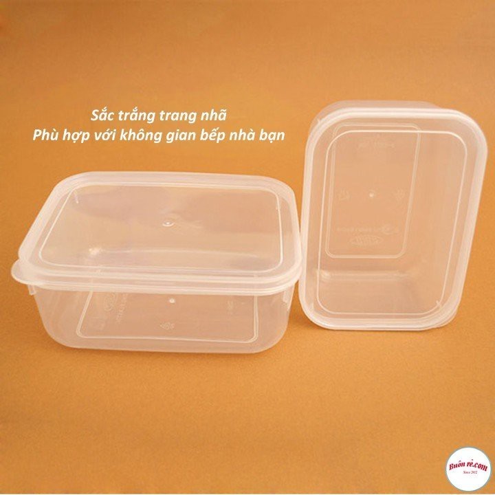 Bộ 5 hộp lạnh bầu đựng thức ăn Việt Nhật, Hộp trữ đồ đông đồ ăn dặm cho bé (MS:6685) an toàn tiện lợi - br 01285