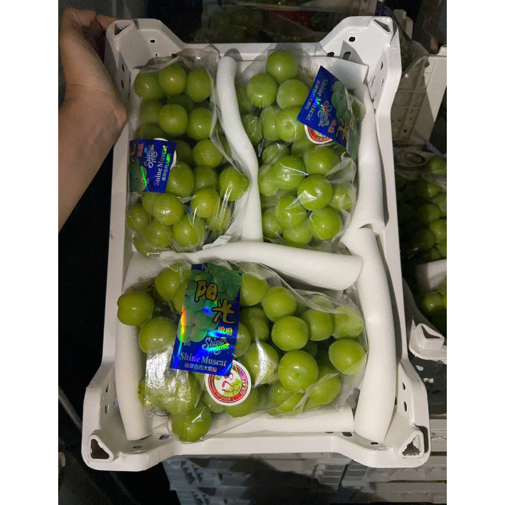 [Ship Hỏa Tốc HCM 1-2 giờ ] 1 Hộp mẫu đơn đóng hộp (500-700g).Nguyên chùm