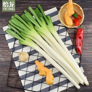 Mô Phỏng Rau Pu Xanh Hành Tỏi Trắng Mô Hình Nhà Bếp Mẫu Phòng Đồ Trang Trí Giáo Dục Sớm Nhảy Múa Đạo Cụ Chụp Ảnh