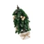 Treeling Chrismas Cây Để Bàn Đồ Trang Trí Cây Giả Nhỏ Có Đế Dự Tiệc Tiếp Liệu Cho Ngày Lễ Trang Trại Trang Trí Để Bàn