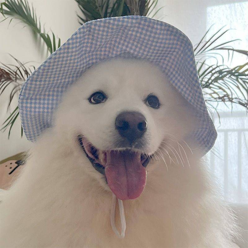 【Ready Stock】 2025 Pet New Sun Protection Headdress Dog Supplies Hat Ear Sun Hat Cute Pet Bucket Hat zrOF