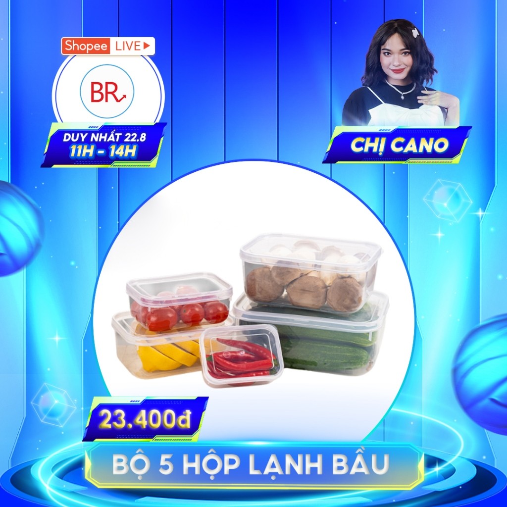 Bộ 5 hộp lạnh bầu đựng thức ăn Việt Nhật, Hộp trữ đồ đông đồ ăn dặm cho bé (MS:6685) an toàn tiện lợi - br 01285