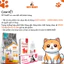 Sữa Tắm Charmie Hương Oải Hương Cho Thú Cưng - Hương Thơm Bền Lâu 280ml_Fivevet