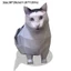 PWSEND Kitten Stereo Origami, Mô hình giấy mèo Oiiiao thủ công DIY, Mèo con tự hỏi vui nhộn Maxwell Cat Large Huh Cat Paper Model Quà tặng cho bạn bè