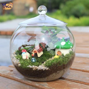 Bình trồng cây Perfk Trang trí 6.30 '' Hộp đựng thực vật thủy tinh cho muối