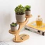 Khay đựng chậu hoa YYLINGX, Giá đỡ chậu hoa bằng gỗ tre nhiều lớp, Giá đỡ cây trang trí nhà cửa ổn định Quà tặng Cây cảnh mọng nước Ban công Sân thượng