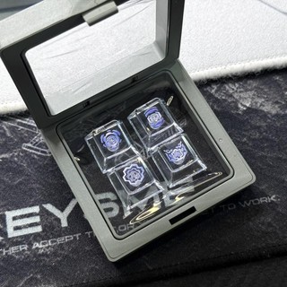Valente Fearless Hợp Đồng Kỹ Năng Cá Tính Keycap Trong Suốt Bổ Sung Đơn Ánh Sáng Trong Suốt Phản Lực Gió Chạng vạng Bướm Sage Rena